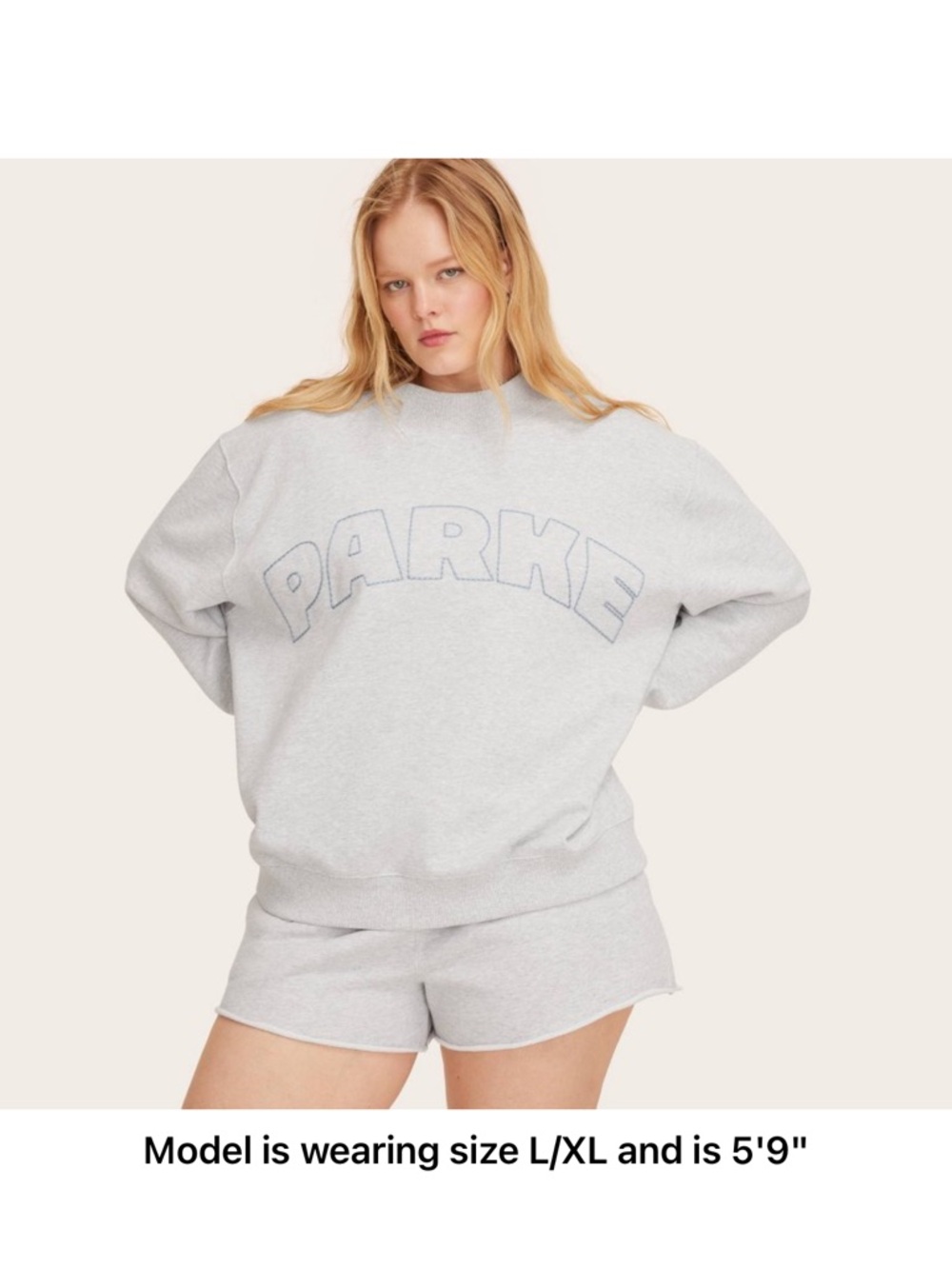 Parke Light Gray Pullover Sweatshirt with Outline Logo From Target S/M